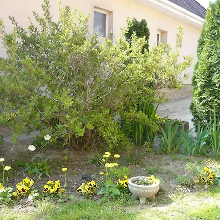 Apartman Kámán *